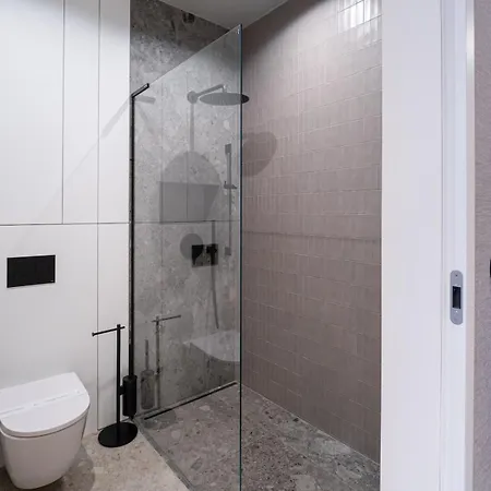 Czysta 4 Premium With Ac-properunit فروتسواف
